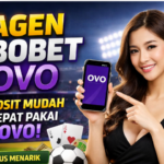 Agen sbobet ovo