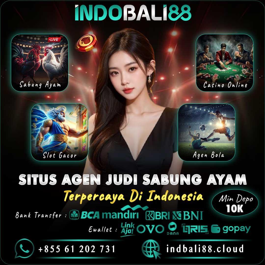 Agen Resmi Terpercaya dengan Layanan Profesional