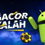 Daftar Jackpot 24 Jam Terbesar & Terupdate – Coba Keberuntungan Anda Sekarang!